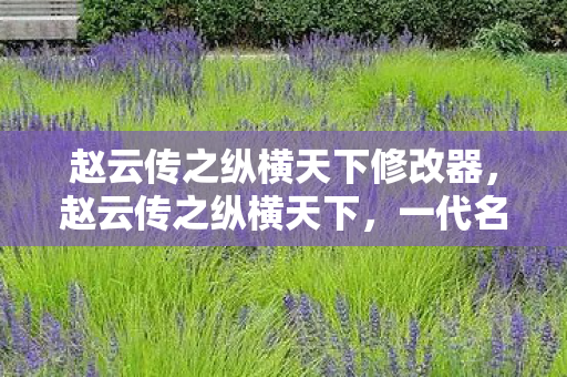 赵云传之纵横天下修改器，赵云传之纵横天下，一代名将的辉煌历程