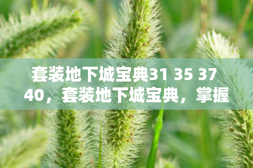 套装地下城宝典31 35 37 40，套装地下城宝典，掌握核心攻略，轻松成为顶尖玩家