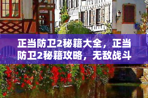 正当防卫2秘籍大全，正当防卫2秘籍攻略，无敌战斗与生存之道