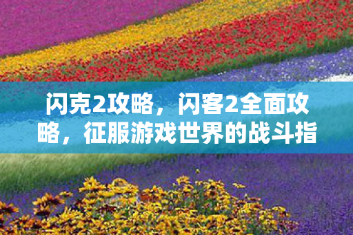 闪克2攻略，闪客2全面攻略，征服游戏世界的战斗指南