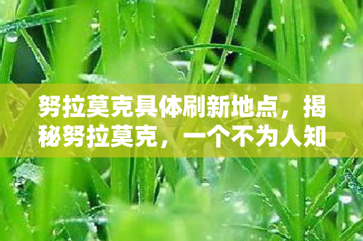 努拉莫克具体刷新地点，揭秘努拉莫克，一个不为人知的故事