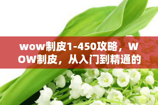 wow制皮1-450攻略，WOW制皮，从入门到精通的全方位指南
