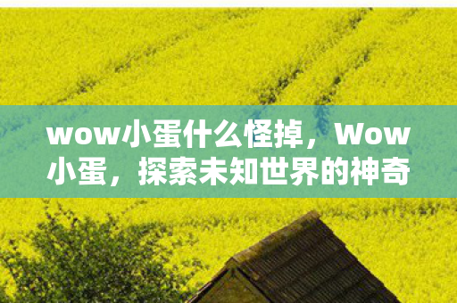 wow小蛋什么怪掉，Wow小蛋，探索未知世界的神奇之旅