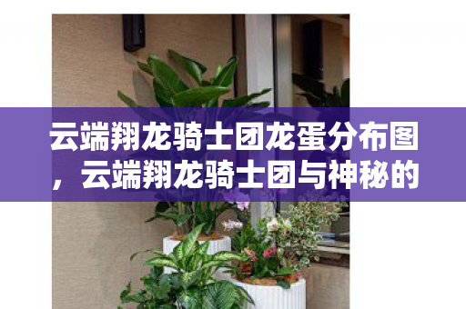 云端翔龙骑士团龙蛋分布图，云端翔龙骑士团与神秘的龙蛋传奇