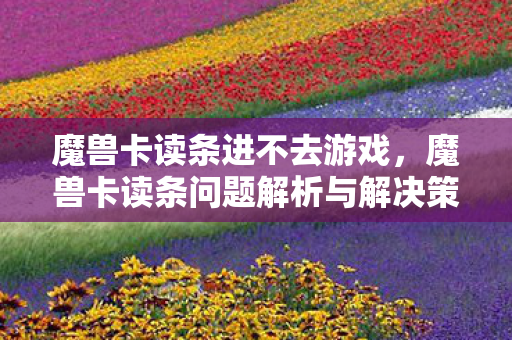 魔兽卡读条进不去游戏，魔兽卡读条问题解析与解决策略