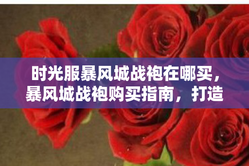 时光服暴风城战袍在哪买，暴风城战袍购买指南，打造专属英雄形象