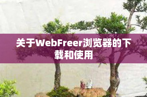 关于WebFreer浏览器的下载和使用