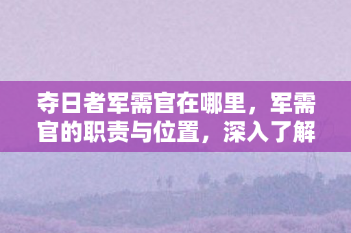 夺日者军需官在哪里，军需官的职责与位置，深入了解军需官的角色