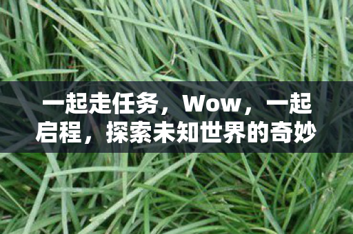 一起走任务，Wow，一起启程，探索未知世界的奇妙之旅