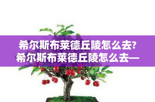 希尔斯布莱德丘陵怎么去?希尔斯布莱德丘陵怎么去—探索未知地形的详细指南