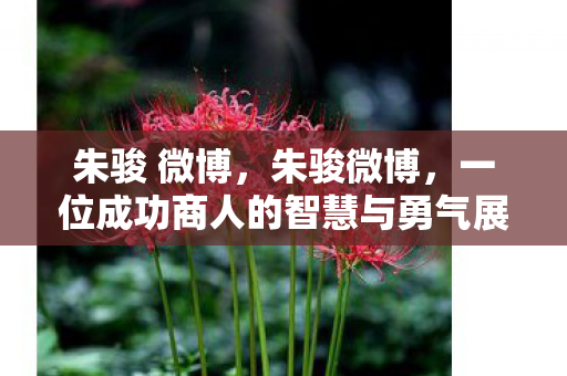 朱骏 微博，朱骏微博，一位成功商人的智慧与勇气展现