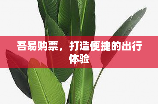 吾易购票，打造便捷的出行体验