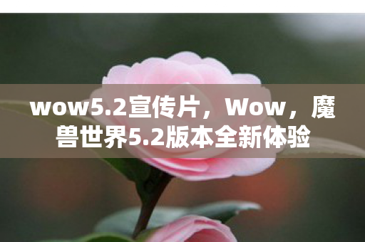 wow5.2宣传片，Wow，魔兽世界5.2版本全新体验