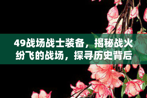 49战场战士装备，揭秘战火纷飞的战场，探寻历史背后的故事—以一场战役为例，揭示战争的残酷与英雄的精神力量