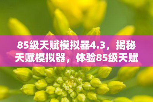 85级天赋模拟器4.3，揭秘天赋模拟器，体验85级天赋的无限可能