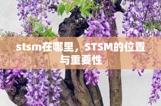 stsm在哪里，STSM的位置与重要性