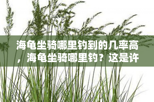 海龟坐骑哪里钓到的几率高，海龟坐骑哪里钓？这是许多游戏玩家心中的疑问。今天，就让我来为大家揭晓海龟坐骑的钓鱼地点和技巧