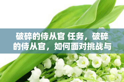 破碎的侍从官 任务，破碎的侍从官，如何面对挑战与重塑价值