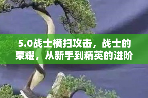 5.0战士横扫攻击，战士的荣耀，从新手到精英的进阶之路（5.0版本更新解读）