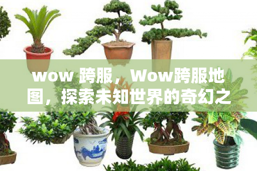 wow 跨服，Wow跨服地图，探索未知世界的奇幻之旅