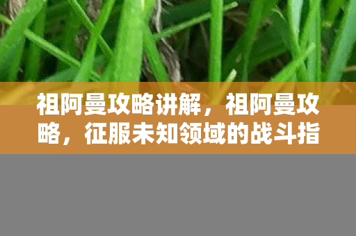 祖阿曼攻略讲解，祖阿曼攻略，征服未知领域的战斗指南