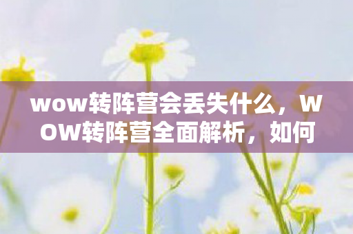 wow转阵营会丢失什么，WOW转阵营全面解析，如何做出最佳选择？
