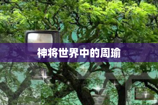 神将世界中的周瑜