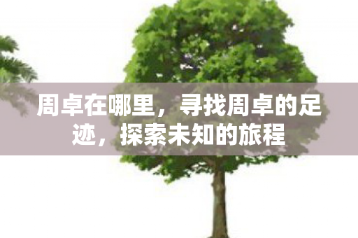 周卓在哪里，寻找周卓的足迹，探索未知的旅程