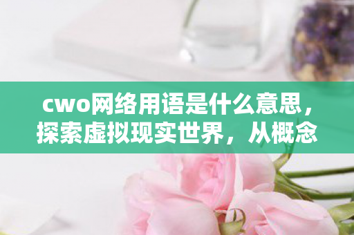 cwo网络用语是什么意思，探索虚拟现实世界，从概念到实际应用