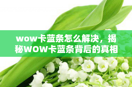 wow卡蓝条怎么解决，揭秘WOW卡蓝条背后的真相与应对之策