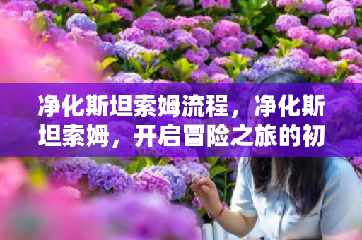 净化斯坦索姆流程，净化斯坦索姆，开启冒险之旅的初步指南