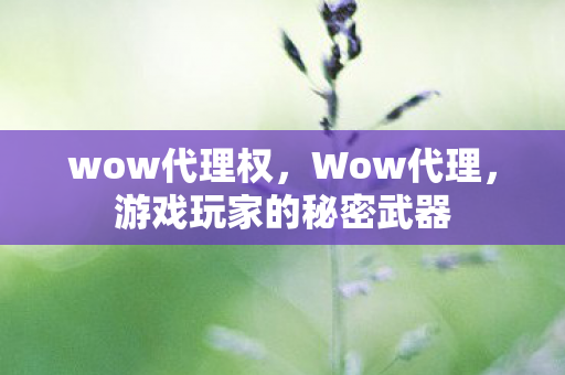 wow代理权，Wow代理，游戏玩家的秘密武器