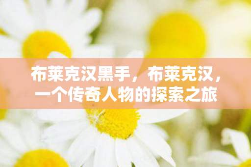 布莱克汉黑手，布莱克汉，一个传奇人物的探索之旅