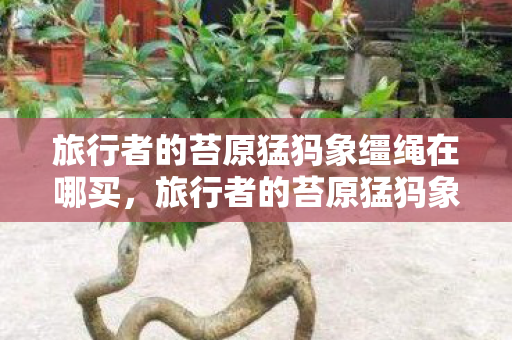 旅行者的苔原猛犸象缰绳在哪买，旅行者的苔原猛犸象缰绳，一次跨越自然与文化的冒险之旅