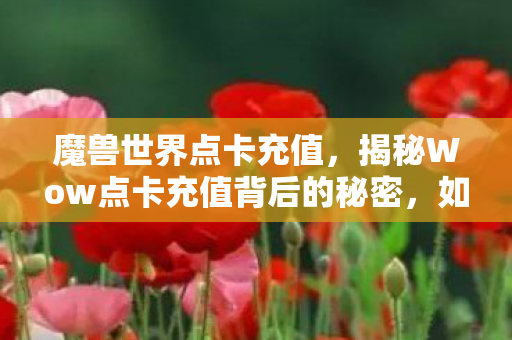 魔兽世界点卡充值，揭秘Wow点卡充值背后的秘密，如何轻松充值并享受更多游戏乐趣？