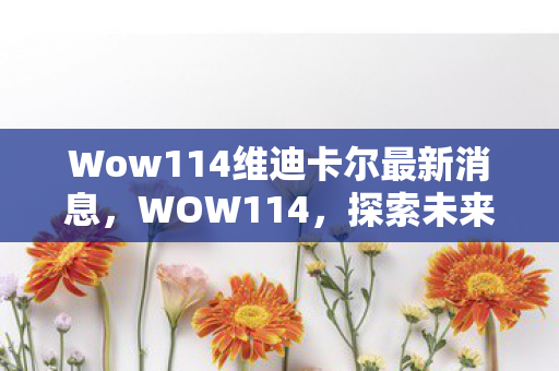 Wow114维迪卡尔最新消息，WOW114，探索未来的游戏世界，揭示游戏产业的未来趋势