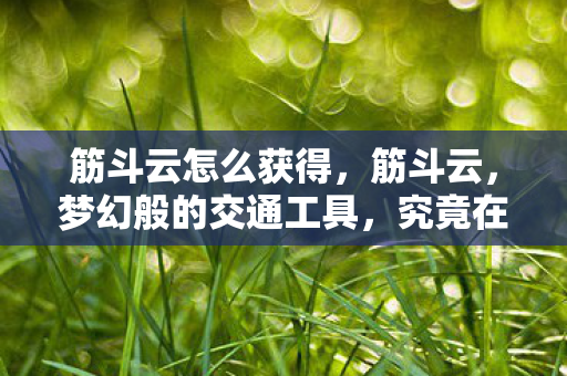 筋斗云怎么获得，筋斗云，梦幻般的交通工具，究竟在哪里购买？