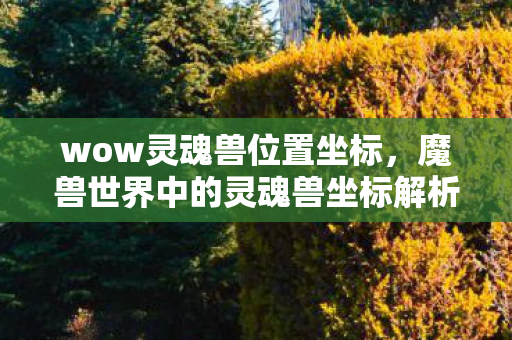 wow灵魂兽位置坐标，魔兽世界中的灵魂兽坐标解析，探寻神秘灵魂兽的旅程