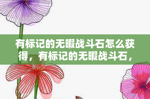 有标记的无暇战斗石怎么获得，有标记的无暇战斗石，探寻神秘宝石背后的故事