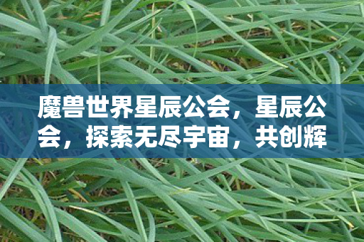 魔兽世界星辰公会，星辰公会，探索无尽宇宙，共创辉煌篇章