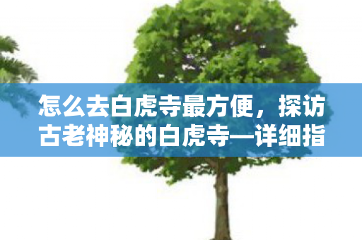 怎么去白虎寺最方便，探访古老神秘的白虎寺—详细指南