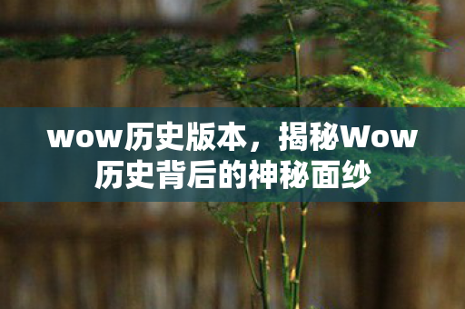 wow历史版本，揭秘Wow历史背后的神秘面纱