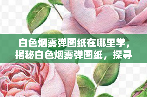 白色烟雾弹图纸在哪里学，揭秘白色烟雾弹图纸，探寻神秘武器的制造之谜