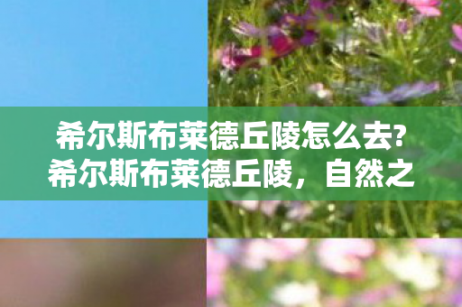 希尔斯布莱德丘陵怎么去?希尔斯布莱德丘陵，自然之美与历史的交织