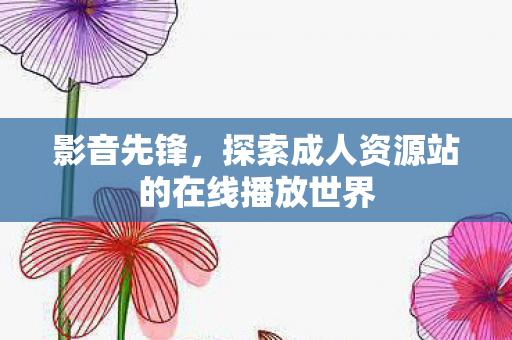 影音先锋，探索成人资源站的在线播放世界