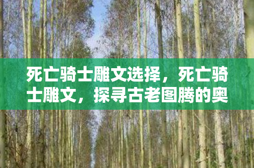 死亡骑士雕文选择，死亡骑士雕文，探寻古老图腾的奥秘与传承