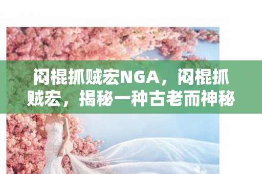 闷棍抓贼宏NGA，闷棍抓贼宏，揭秘一种古老而神秘的捉贼技巧