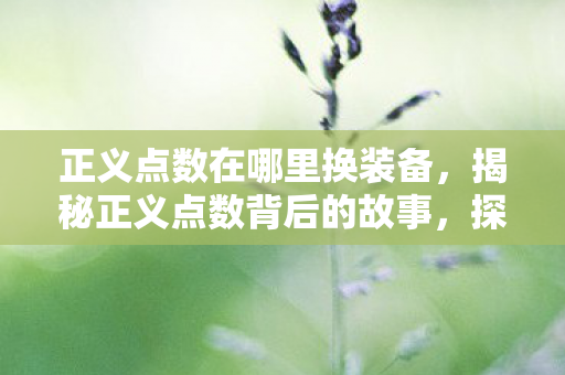 正义点数在哪里换装备，揭秘正义点数背后的故事，探寻背后的意义与价值