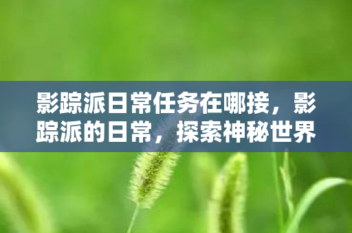 影踪派日常任务在哪接，影踪派的日常，探索神秘世界的行者之歌