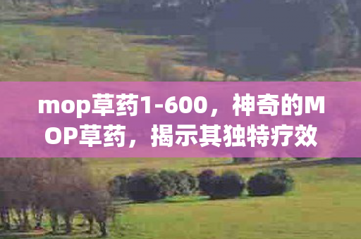 mop草药1-600，神奇的MOP草药，揭示其独特疗效与使用方法